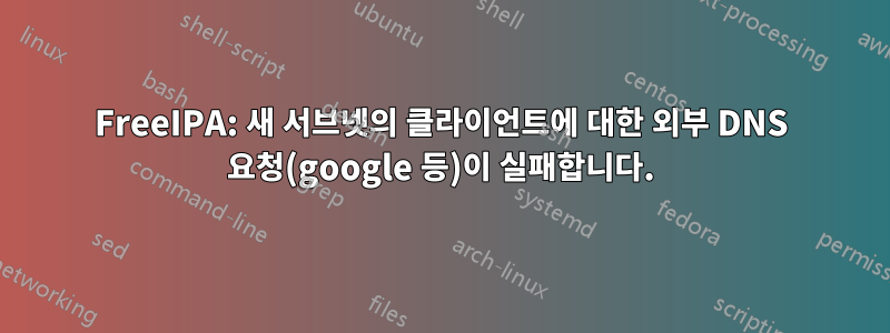 FreeIPA: 새 서브넷의 클라이언트에 대한 외부 DNS 요청(google 등)이 실패합니다.