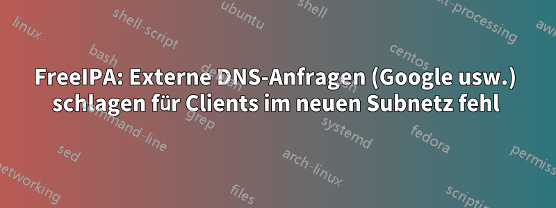 FreeIPA: Externe DNS-Anfragen (Google usw.) schlagen für Clients im neuen Subnetz fehl