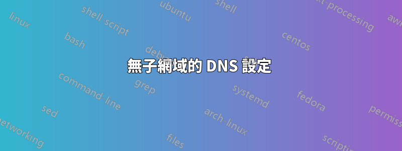 無子網域的 DNS 設定