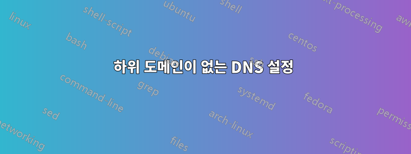 하위 도메인이 없는 DNS 설정
