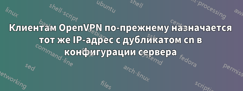 Клиентам OpenVPN по-прежнему назначается тот же IP-адрес с дубликатом cn в конфигурации сервера