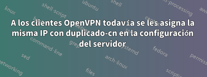 A los clientes OpenVPN todavía se les asigna la misma IP con duplicado-cn en la configuración del servidor