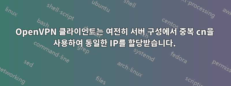 OpenVPN 클라이언트는 여전히 서버 구성에서 중복 cn을 사용하여 동일한 IP를 할당받습니다.