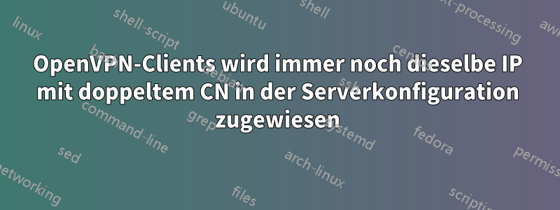 OpenVPN-Clients wird immer noch dieselbe IP mit doppeltem CN in der Serverkonfiguration zugewiesen