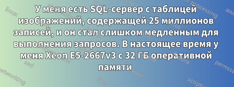 У меня есть SQL-сервер с таблицей изображений, содержащей 25 миллионов записей, и он стал слишком медленным для выполнения запросов. В настоящее время у меня Xeon E5-2667v3 с 32 ГБ оперативной памяти 