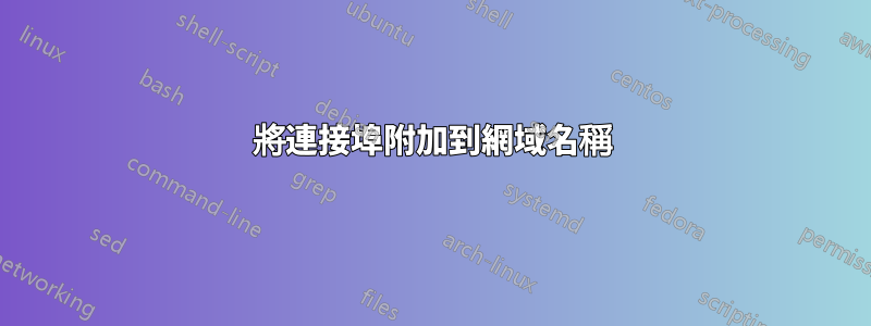 將連接埠附加到網域名稱