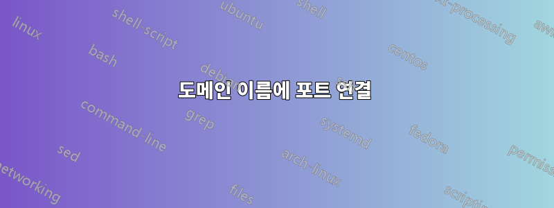 도메인 이름에 포트 연결