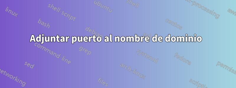 Adjuntar puerto al nombre de dominio 