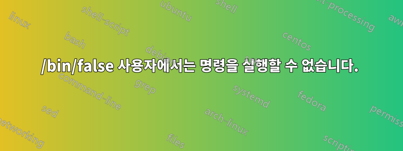 /bin/false 사용자에서는 명령을 실행할 수 없습니다.