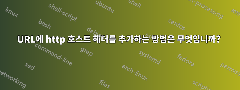 URL에 http 호스트 헤더를 추가하는 방법은 무엇입니까?