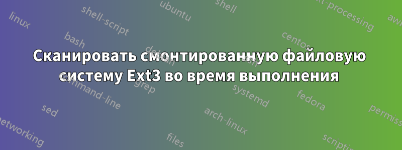 Сканировать смонтированную файловую систему Ext3 во время выполнения