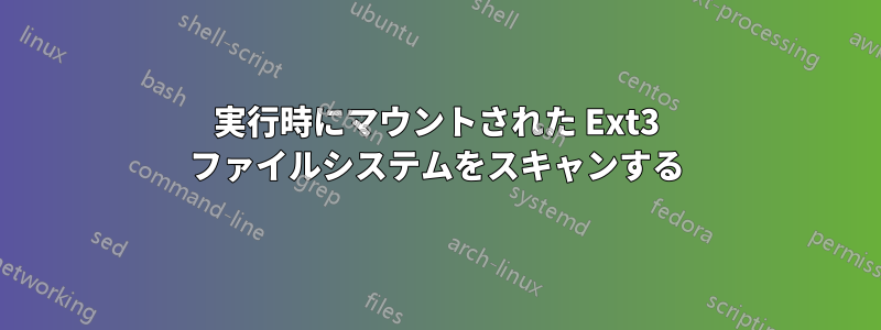 実行時にマウントされた Ext3 ファイルシステムをスキャンする