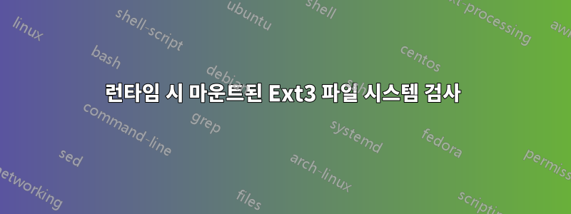 런타임 시 마운트된 Ext3 파일 시스템 검사