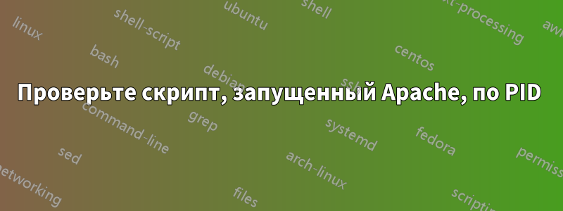 Проверьте скрипт, запущенный Apache, по PID