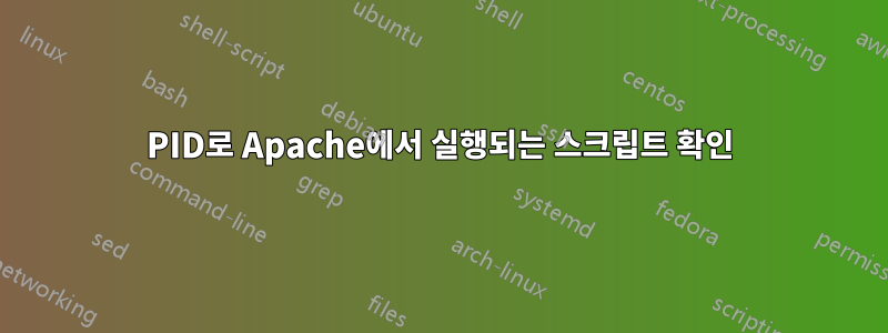 PID로 Apache에서 실행되는 스크립트 확인