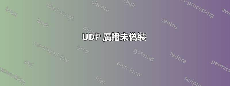 UDP 廣播未偽裝