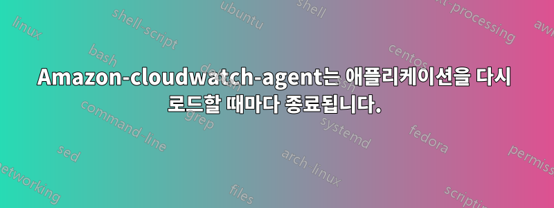Amazon-cloudwatch-agent는 애플리케이션을 다시 로드할 때마다 종료됩니다.