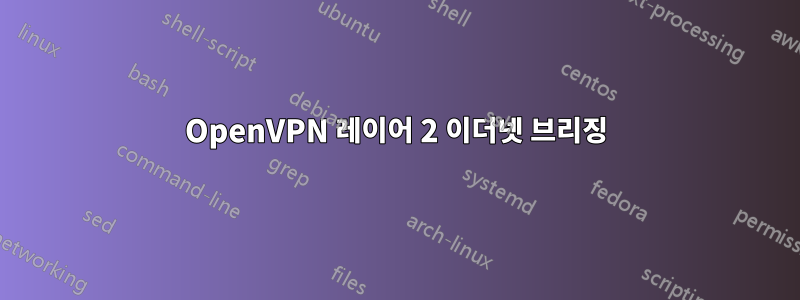 OpenVPN 레이어 2 이더넷 브리징