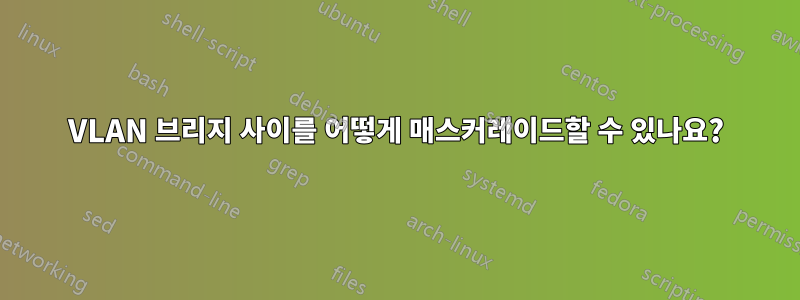 VLAN 브리지 사이를 어떻게 매스커레이드할 수 있나요?