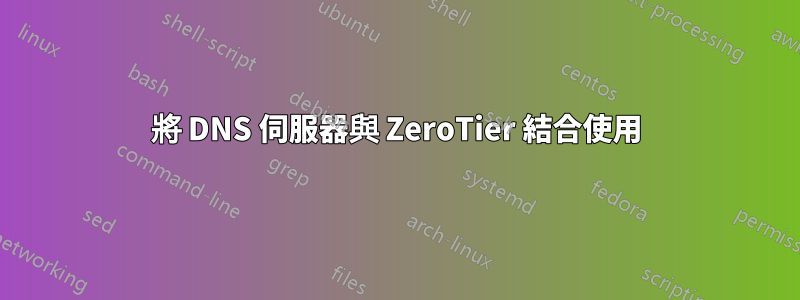 將 DNS 伺服器與 ZeroTier 結合使用