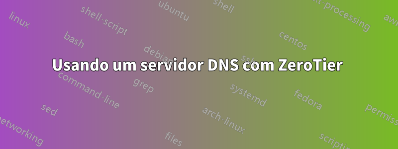 Usando um servidor DNS com ZeroTier