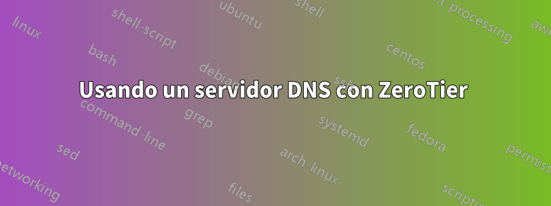 Usando un servidor DNS con ZeroTier
