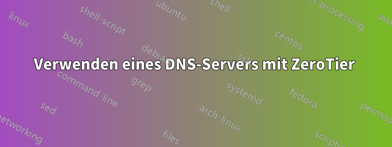 Verwenden eines DNS-Servers mit ZeroTier