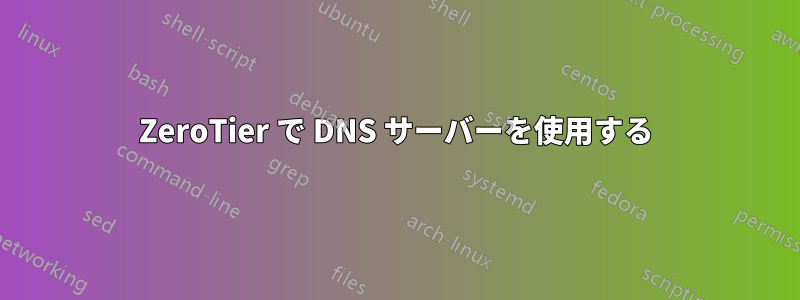 ZeroTier で DNS サーバーを使用する
