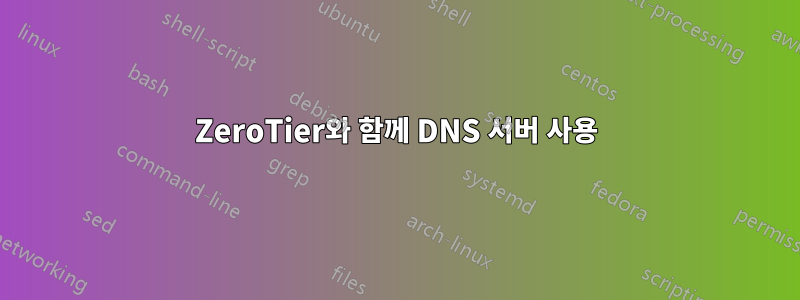 ZeroTier와 함께 DNS 서버 사용