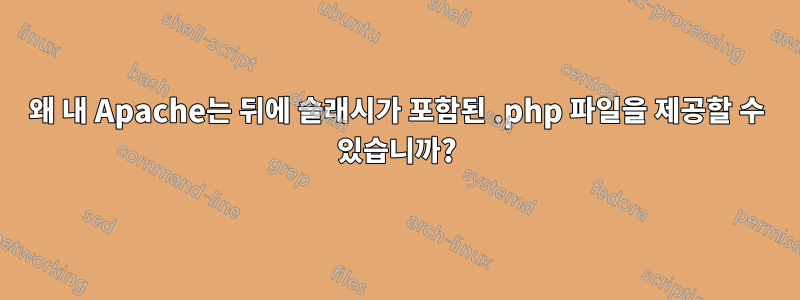 왜 내 Apache는 뒤에 슬래시가 포함된 .php 파일을 제공할 수 있습니까?