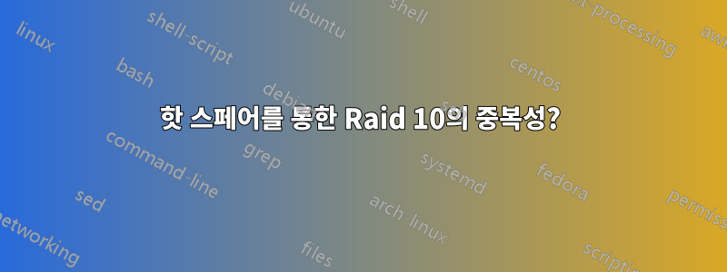핫 스페어를 통한 Raid 10의 중복성?