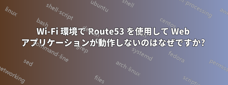 Wi-Fi 環境で Route53 を使用して Web アプリケーションが動作しないのはなぜですか?