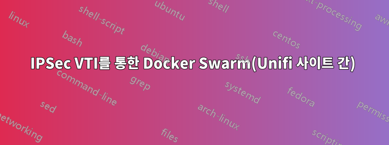 IPSec VTI를 통한 Docker Swarm(Unifi 사이트 간)