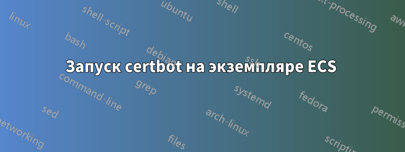 Запуск certbot на экземпляре ECS