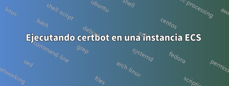 Ejecutando certbot en una instancia ECS