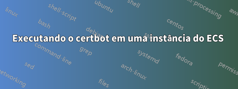 Executando o certbot em uma instância do ECS