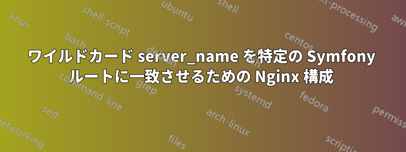 ワイルドカード server_name を特定の Symfony ルートに一致させるための Nginx 構成