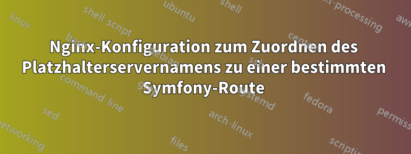 Nginx-Konfiguration zum Zuordnen des Platzhalterservernamens zu einer bestimmten Symfony-Route