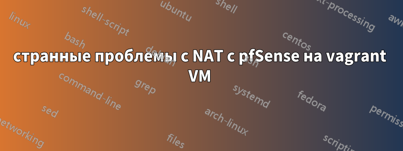 странные проблемы с NAT с pfSense на vagrant VM