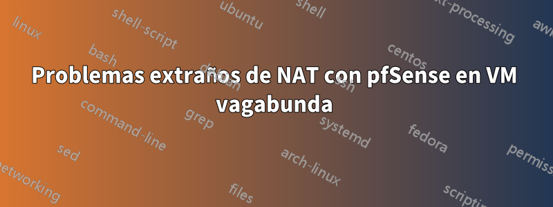 Problemas extraños de NAT con pfSense en VM vagabunda