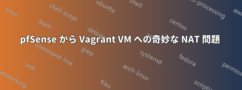pfSense から Vagrant VM への奇妙な NAT 問題
