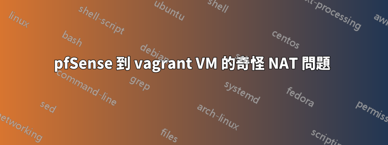 pfSense 到 vagrant VM 的奇怪 NAT 問題