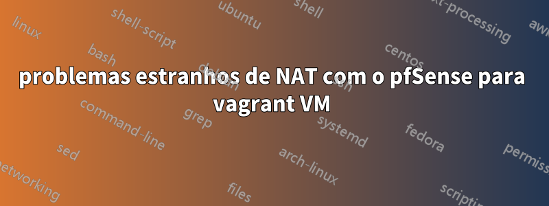 problemas estranhos de NAT com o pfSense para vagrant VM