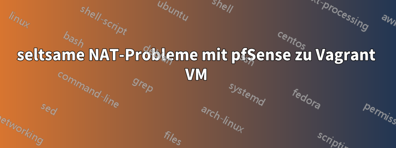 seltsame NAT-Probleme mit pfSense zu Vagrant VM