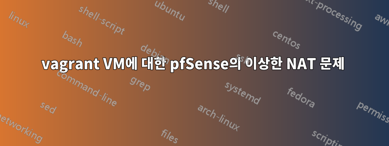vagrant VM에 대한 pfSense의 이상한 NAT 문제