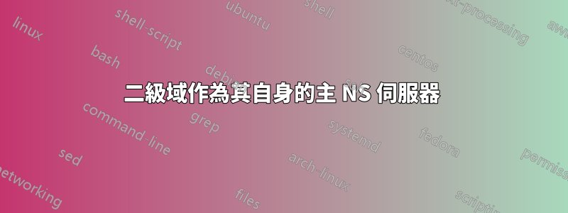 二級域作為其自身的主 NS 伺服器