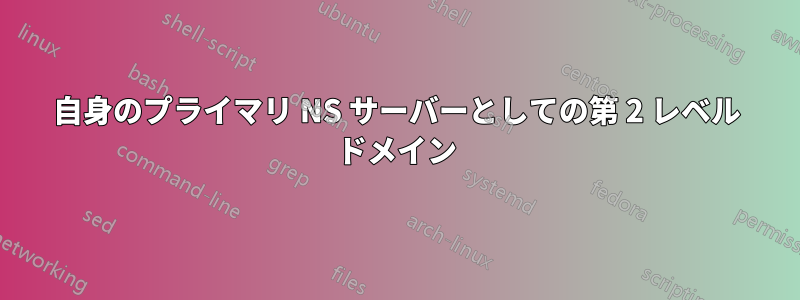 自身のプライマリ NS サーバーとしての第 2 レベル ドメイン