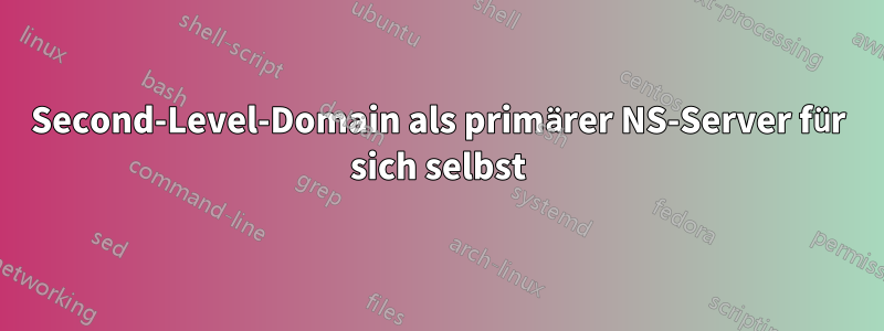 Second-Level-Domain als primärer NS-Server für sich selbst