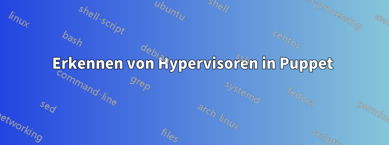 Erkennen von Hypervisoren in Puppet