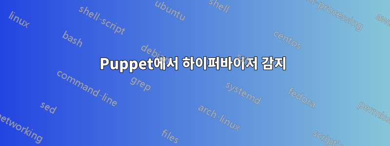 Puppet에서 하이퍼바이저 감지